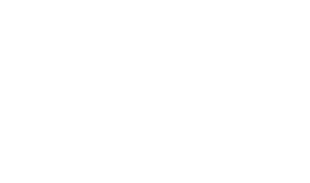 SocialBridge